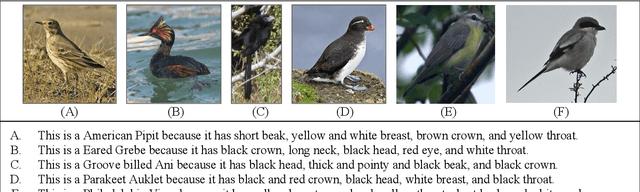 Figure 4 for Neural Network Interpretation via Fine Grained Textual Summarization