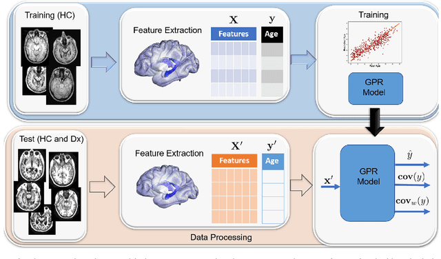 Figure 3 for Gaussian Process Uncertainty in Age Estimation as a Measure of Brain Abnormality