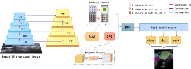 Figure 2 for Multiple Instance Segmentation in Brachial Plexus Ultrasound Image Using BPMSegNet