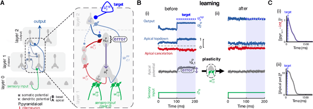 Figure 1 for Dendritic cortical microcircuits approximate the backpropagation algorithm