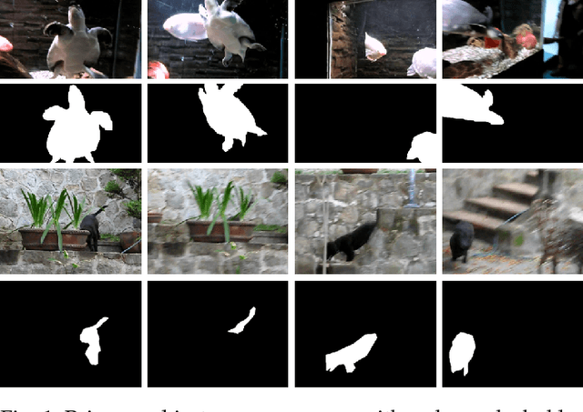 Figure 1 for Complementary Segmentation of Primary Video Objects with Reversible Flows
