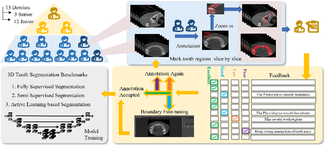 Figure 3 for CTooth+: A Large-scale Dental Cone Beam Computed Tomography Dataset and Benchmark for Tooth Volume Segmentation