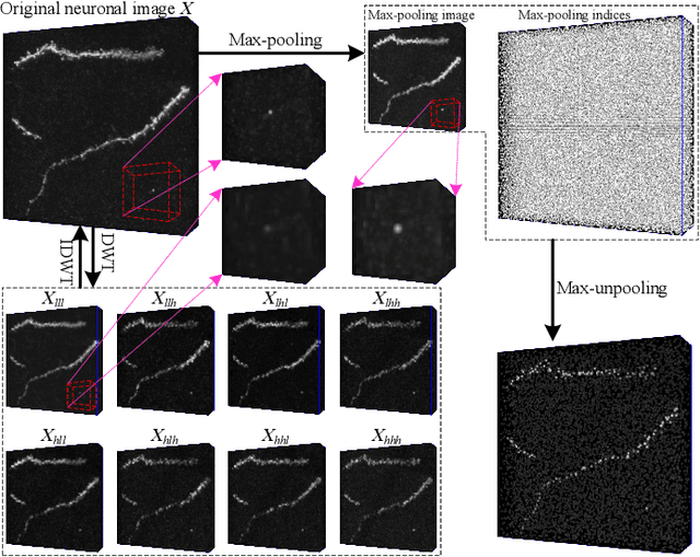 Figure 2 for 3D WaveUNet: 3D Wavelet Integrated Encoder-Decoder Network for Neuron Segmentation