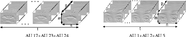 Figure 3 for Recognizing Combinations of Facial Action Units with Different Intensity Using a Mixture of Hidden Markov Models and Neural Network