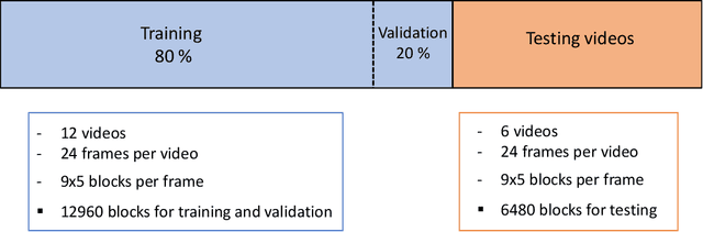 Figure 1 for The Importance of the Instantaneous Phase in Detecting Faces with Convolutional Neural Networks