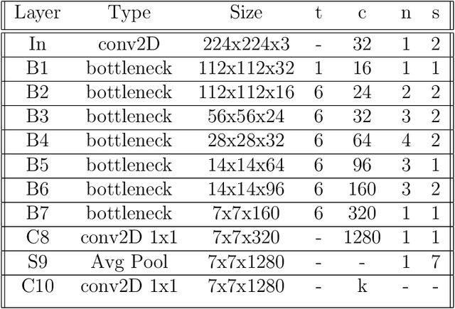 Figure 4 for The Importance of the Instantaneous Phase in Detecting Faces with Convolutional Neural Networks