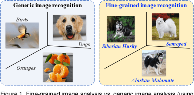 Figure 1 for Fine-Grained Image Analysis with Deep Learning: A Survey