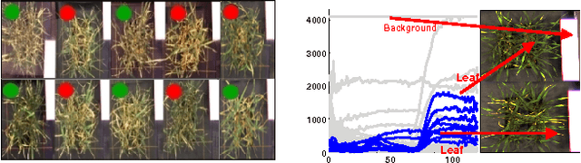 Figure 1 for Latent Dirichlet Allocation Uncovers Spectral Characteristics of Drought Stressed Plants