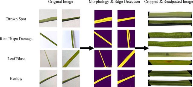 Figure 3 for Rice Diseases Detection and Classification Using Attention Based Neural Network and Bayesian Optimization