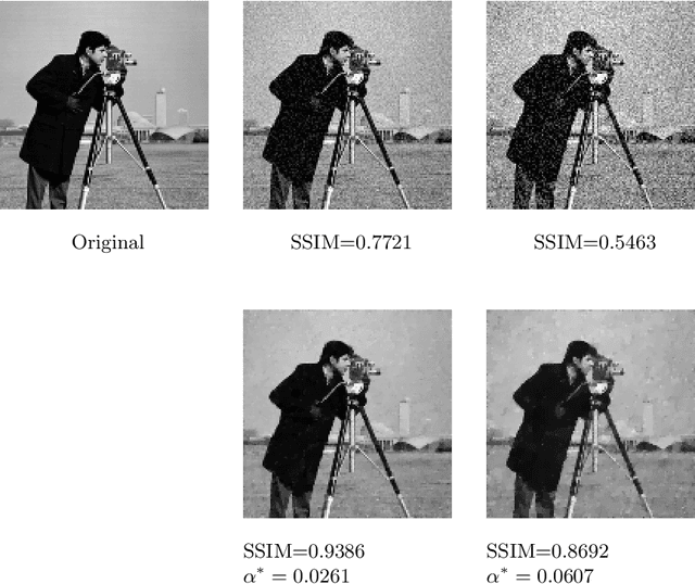 Figure 4 for Bilevel Imaging Learning Problems as Mathematical Programs with Complementarity Constraints