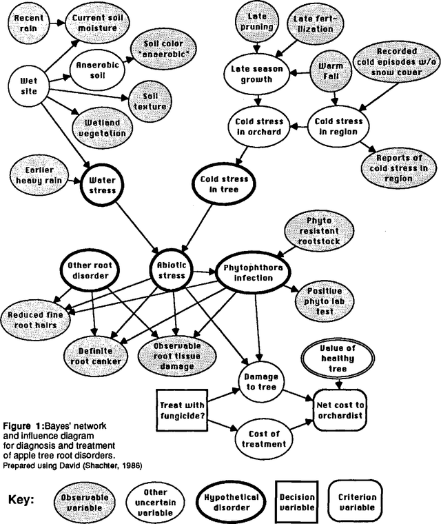 Figure 1 for Practical Issues in Constructing a Bayes' Belief Network