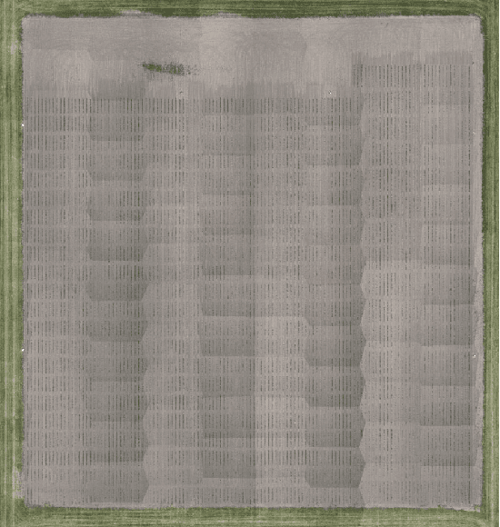 Figure 1 for Field-Based Plot Extraction Using UAV RGB Images