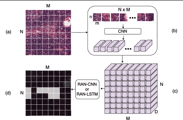 Figure 3 for Representation-Aggregation Networks for Segmentation of Multi-Gigapixel Histology Images