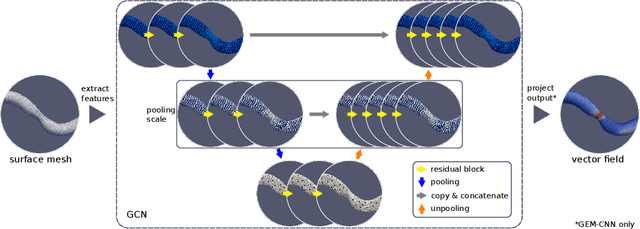 Figure 3 for Mesh convolutional neural networks for wall shear stress estimation in 3D artery models