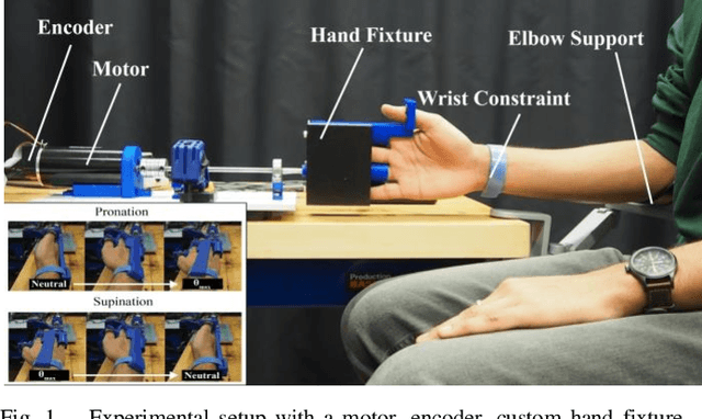 Figure 1 for Preliminary investigation into how limb choice affects kinesthetic perception