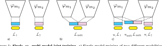 Figure 2 for What Makes Training Multi-Modal Networks Hard?