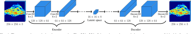 Figure 4 for A Study of Human Body Characteristics Effect on Micro-Doppler-Based Person Identification using Deep Learning