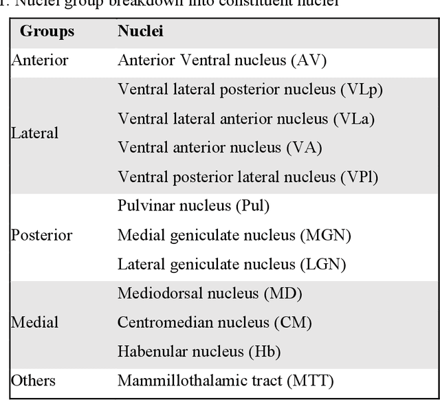 Figure 1 for A Contrast Synthesized Thalamic Nuclei Segmentation Scheme using Convolutional Neural Networks