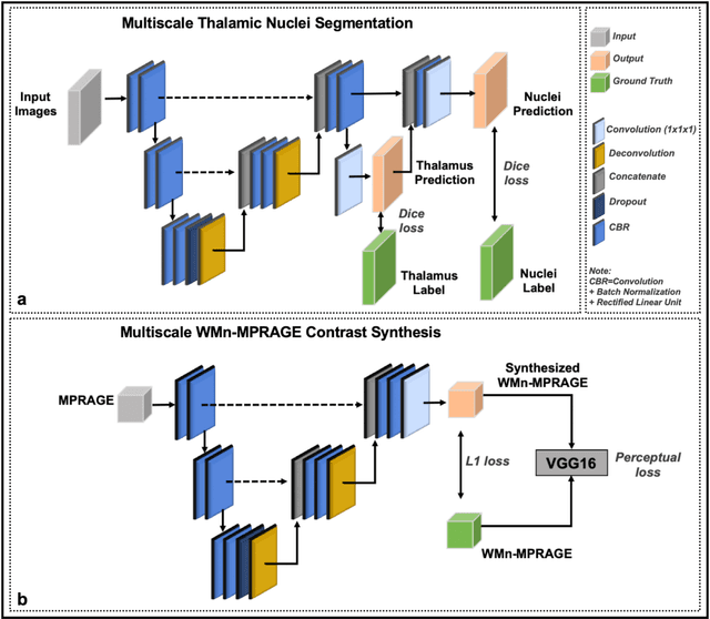 Figure 4 for A Contrast Synthesized Thalamic Nuclei Segmentation Scheme using Convolutional Neural Networks