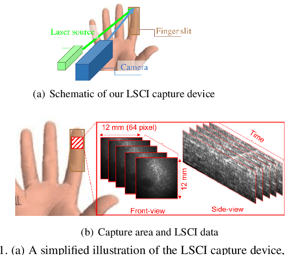 Figure 2 for On the Effectiveness of Laser Speckle Contrast Imaging and Deep Neural Networks for Detecting Known and Unknown Fingerprint Presentation Attacks