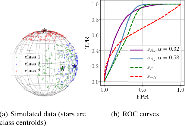 Figure 1 for A Probabilistic Theory of Supervised Similarity Learning for Pointwise ROC Curve Optimization