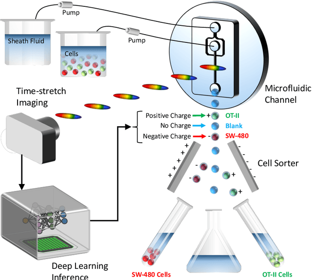 Figure 2 for Deep Cytometry