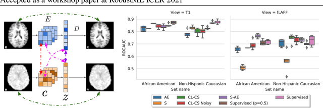 Figure 1 for Tasting the cake: evaluating self-supervised generalization on out-of-distribution multimodal MRI data