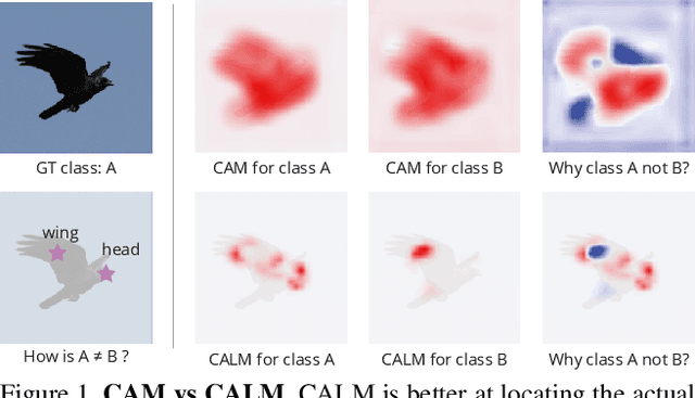 Figure 1 for Keep CALM and Improve Visual Feature Attribution