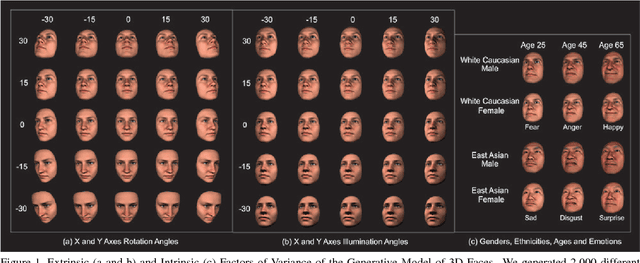 Figure 1 for Deeper Interpretability of Deep Networks