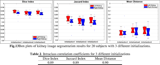 Figure 1 for A dynamic graph-cuts method with integrated multiple feature maps for segmenting kidneys in ultrasound images