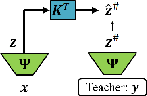 Figure 1 for Linearly-Recurrent Autoencoder Networks for Learning Dynamics