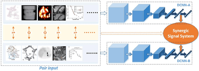 Figure 4 for Classification of Medical Images and Illustrations in the Biomedical Literature Using Synergic Deep Learning
