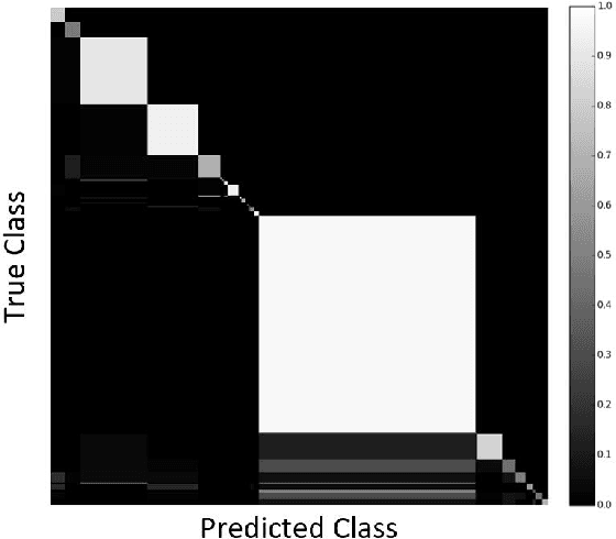 Figure 3 for Classification of Medical Images and Illustrations in the Biomedical Literature Using Synergic Deep Learning