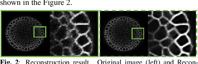 Figure 2 for Deep Quantized Representation for Enhanced Reconstruction