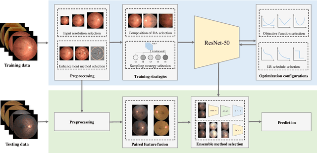 Figure 2 for Identifying the key components in ResNet-50 for diabetic retinopathy grading from fundus images: a systematic investigation