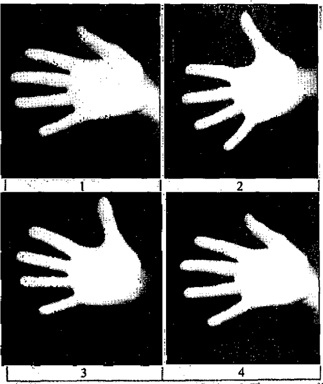 Figure 3 for Biometric recognition: why not massively adopted yet?