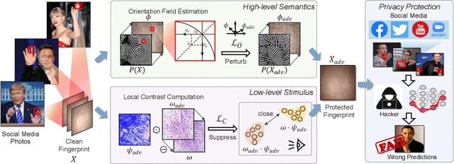 Figure 4 for Hierarchical Perceptual Noise Injection for Social Media Fingerprint Privacy Protection