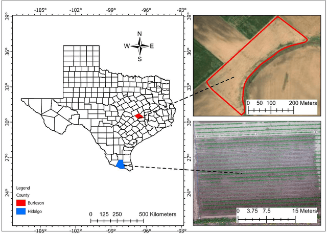 Figure 1 for Assessing The Performance of YOLOv5 Algorithm for Detecting Volunteer Cotton Plants in Corn Fields at Three Different Growth Stages