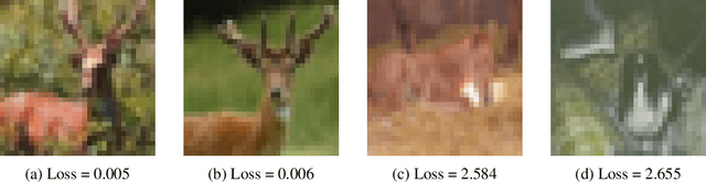 Figure 4 for Towards an Intrinsic Definition of Robustness for a Classifier