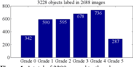 Figure 1 for Efficient refinements on YOLOv3 for real-time detection and assessment of diabetic foot Wagner grades