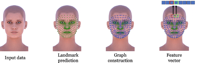 Figure 1 for Ollivier-Ricci Curvature For Head Pose Estimation From a Single Image