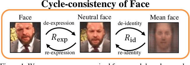 Figure 1 for Learning Facial Representations from the Cycle-consistency of Face