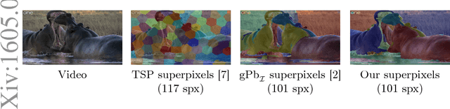 Figure 1 for Improved Image Boundaries for Better Video Segmentation