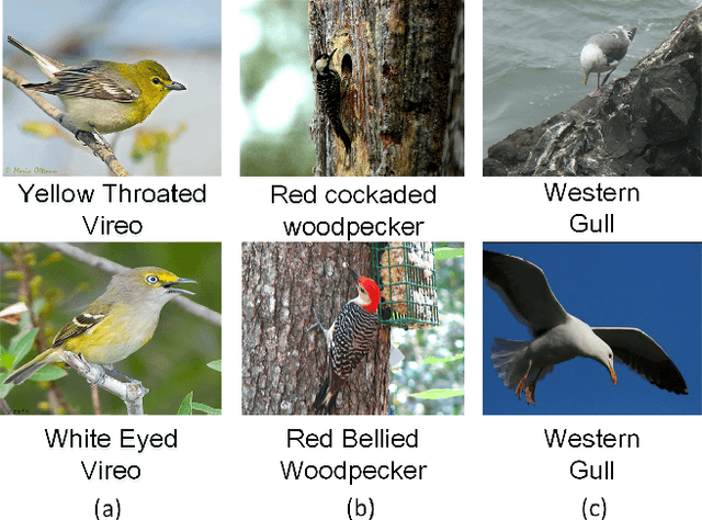 Figure 1 for Re-rank Coarse Classification with Local Region Enhanced Features for Fine-Grained Image Recognition