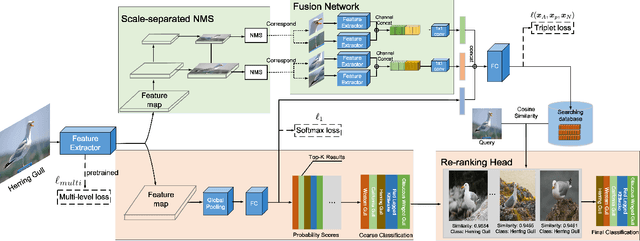 Figure 3 for Re-rank Coarse Classification with Local Region Enhanced Features for Fine-Grained Image Recognition