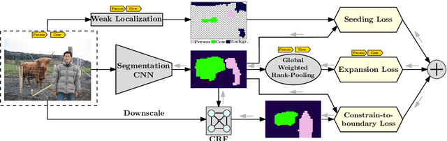 Figure 1 for Seed, Expand and Constrain: Three Principles for Weakly-Supervised Image Segmentation