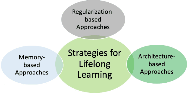 Figure 2 for An Introduction to Lifelong Supervised Learning