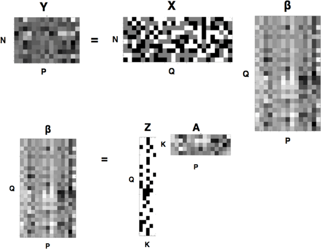 Figure 1 for Nonparametric Reduced-Rank Regression for Multi-SNP, Multi-Trait Association Mapping