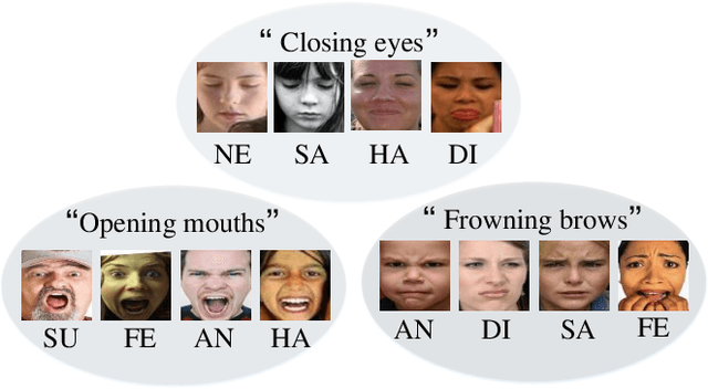 Figure 1 for Feature Decomposition and Reconstruction Learning for Effective Facial Expression Recognition