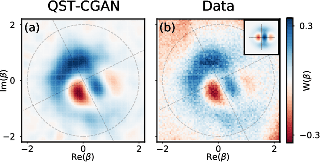 Figure 4 for Quantum State Tomography with Conditional Generative Adversarial Networks